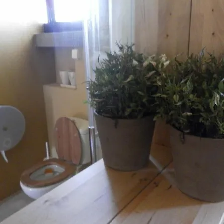 Lemon Tree Vandrerhjem *