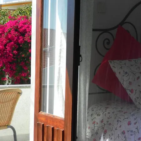 Lemon Tree Hostel Areia Branca