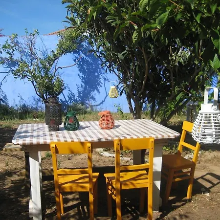 Lemon Tree Hostel